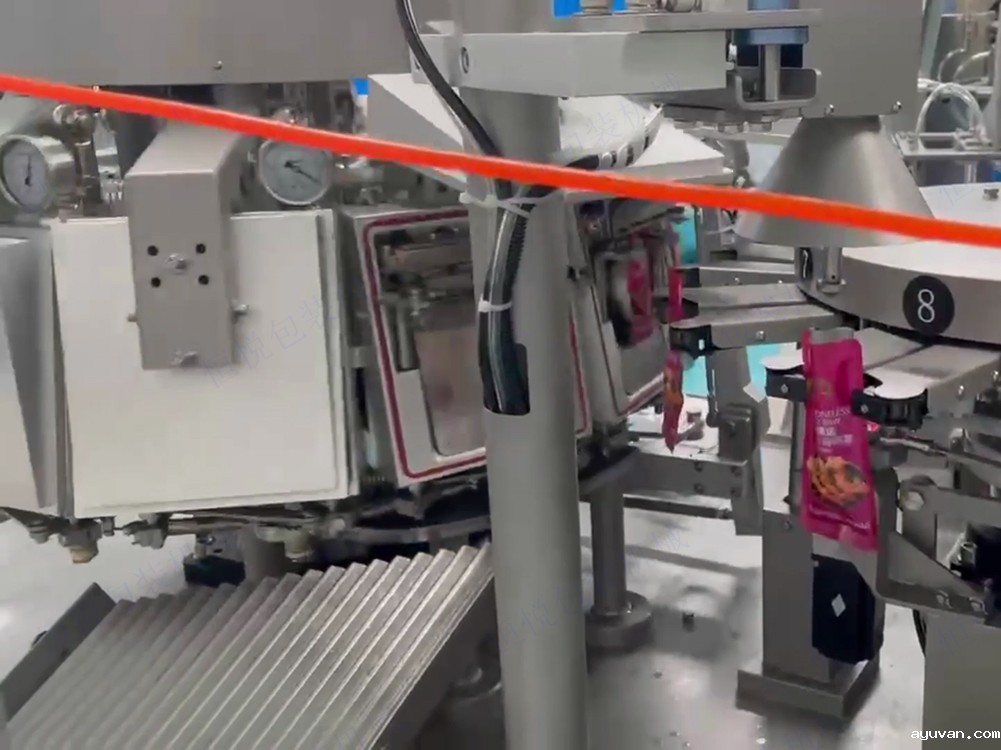 给袋真空包装机