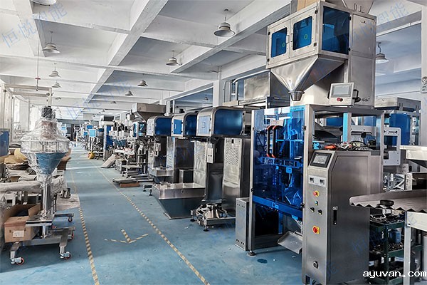 河南电子秤包装机厂家